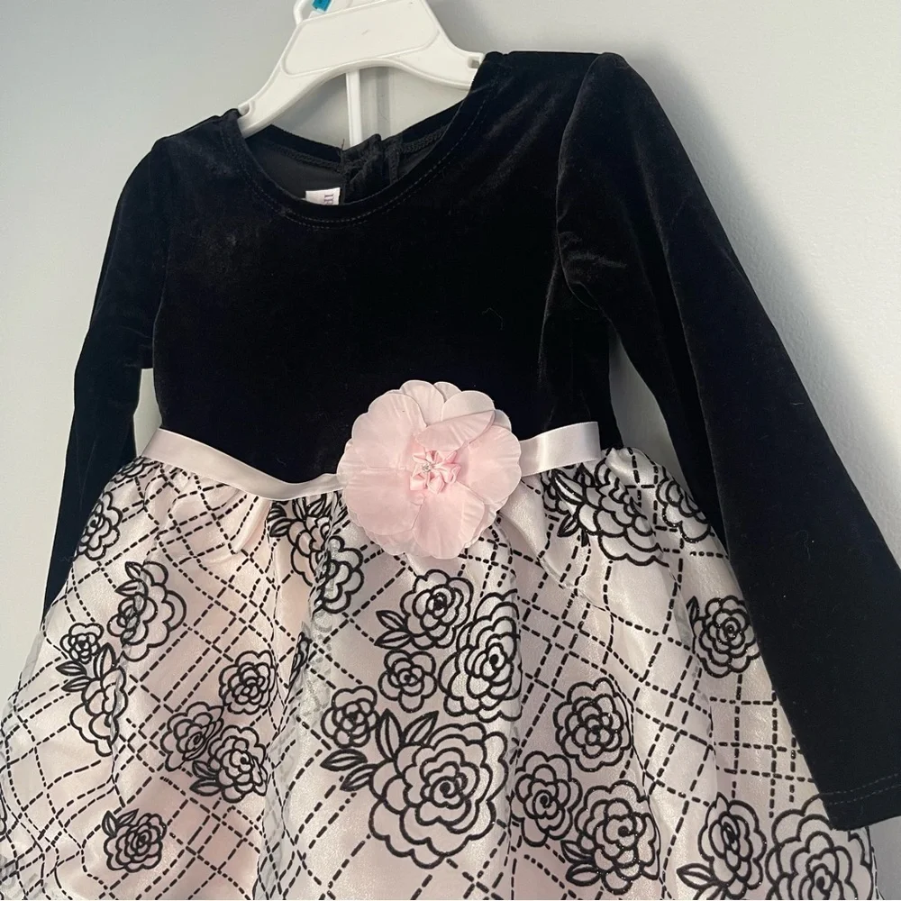 NWT Iris & Ivy Longsleeve Baby Doll Dress‎ Size 24 Months Velvet Floral 2pc